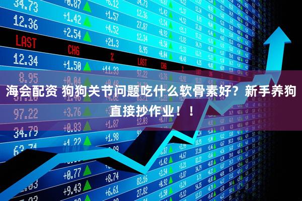 海会配资 狗狗关节问题吃什么软骨素好？新手养狗直接抄作业！！