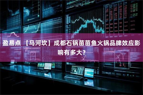 盈易点 【马河坎】成都石锅苗苗鱼火锅品牌效应影响有多大？