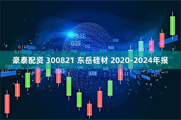 豪泰配资 300821 东岳硅材 2020-2024年报