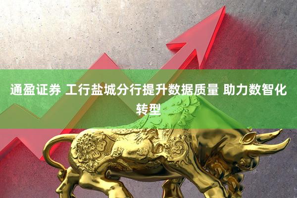 通盈证券 工行盐城分行提升数据质量 助力数智化转型