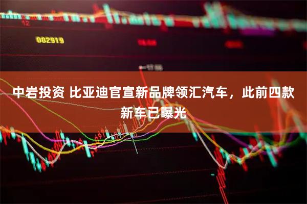 中岩投资 比亚迪官宣新品牌领汇汽车，此前四款新车已曝光