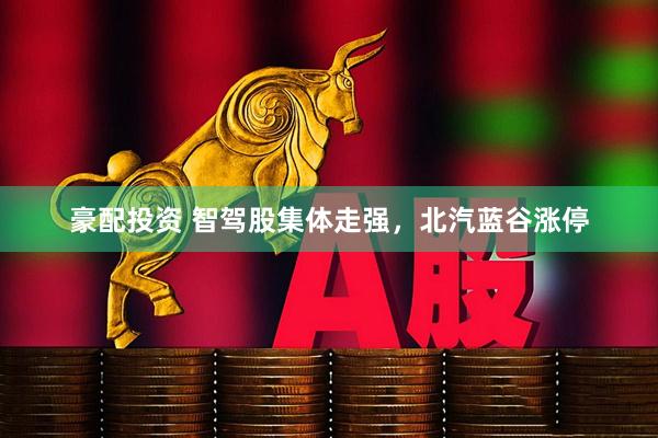 豪配投资 智驾股集体走强，北汽蓝谷涨停