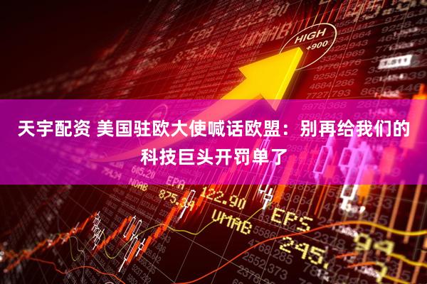 天宇配资 美国驻欧大使喊话欧盟:别再给我们的科技巨头开罚单了