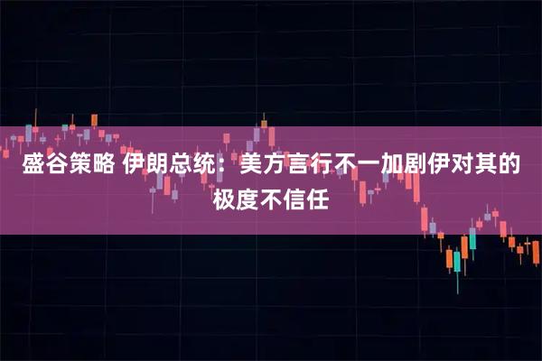 盛谷策略 伊朗总统：美方言行不一加剧伊对其的极度不信任