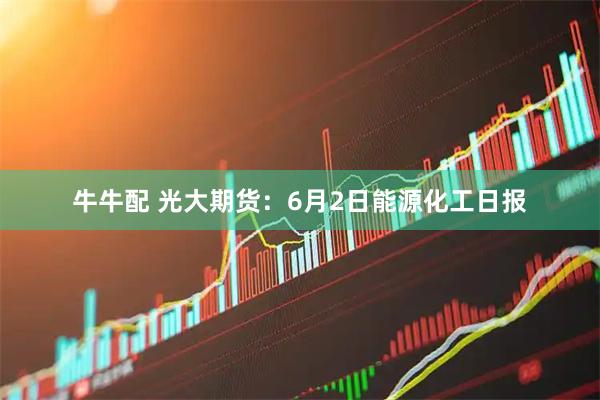 牛牛配 光大期货：6月2日能源化工日报