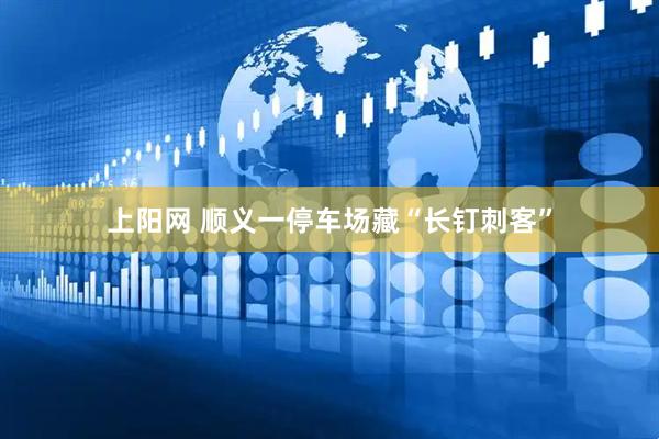 上阳网 顺义一停车场藏“长钉刺客”
