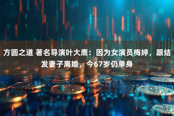 方圆之道 著名导演叶大鹰：因为女演员梅婷，跟结发妻子离婚，今67岁仍单身